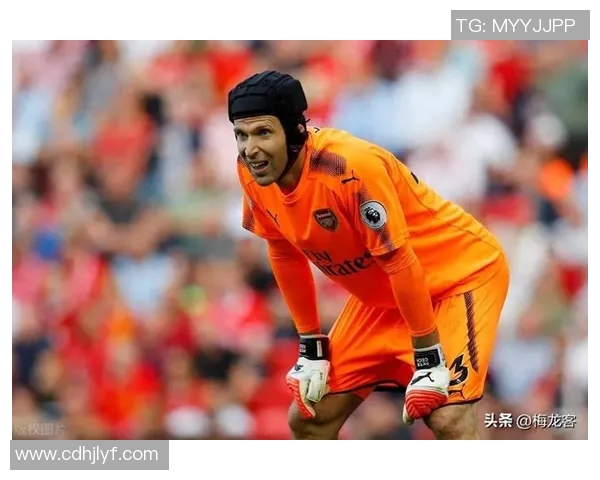 切赫与范德萨的巅峰对决谁才是门将之王的传奇传承者